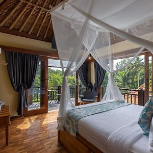 Forest Retreat Room Jungle Pool Panorama View